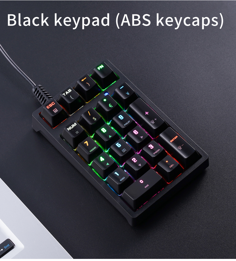 T21 Mini Number Keypad RGB Bac - Gaming Keyboard Blue Switches review and price